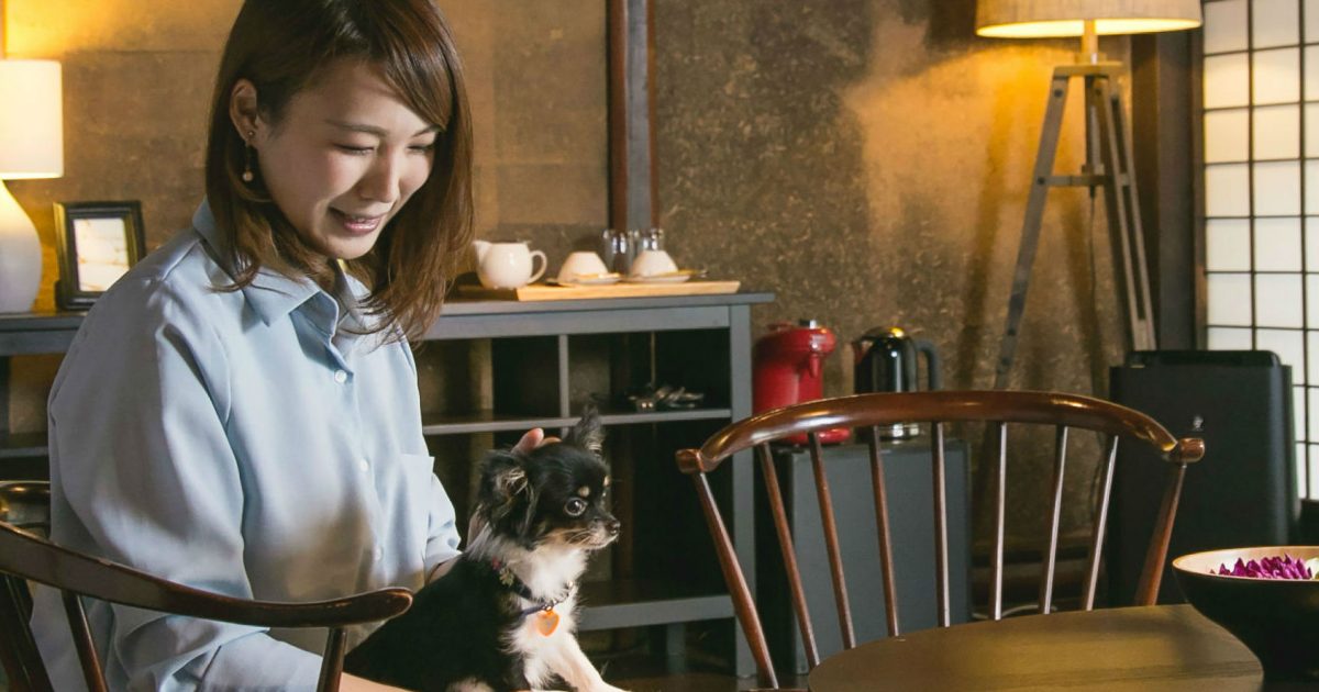 愛犬と泊まれるホテル