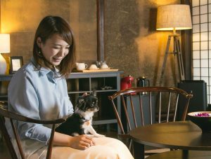 愛犬と泊まれるホテル