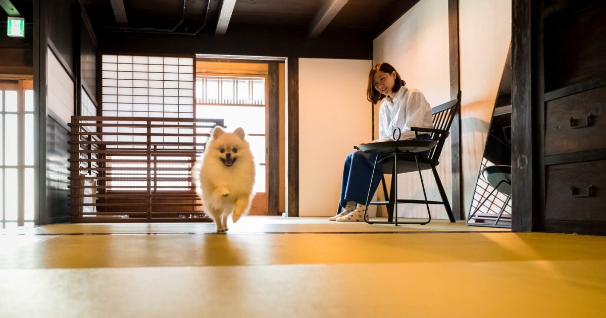 ペットと泊まれる古民家の宿