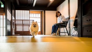 ペットと泊まれる古民家の宿
