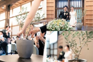 オリーブの植樹セレモニー