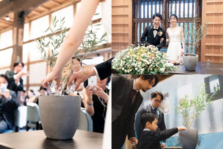 オリーブの植樹セレモニー
